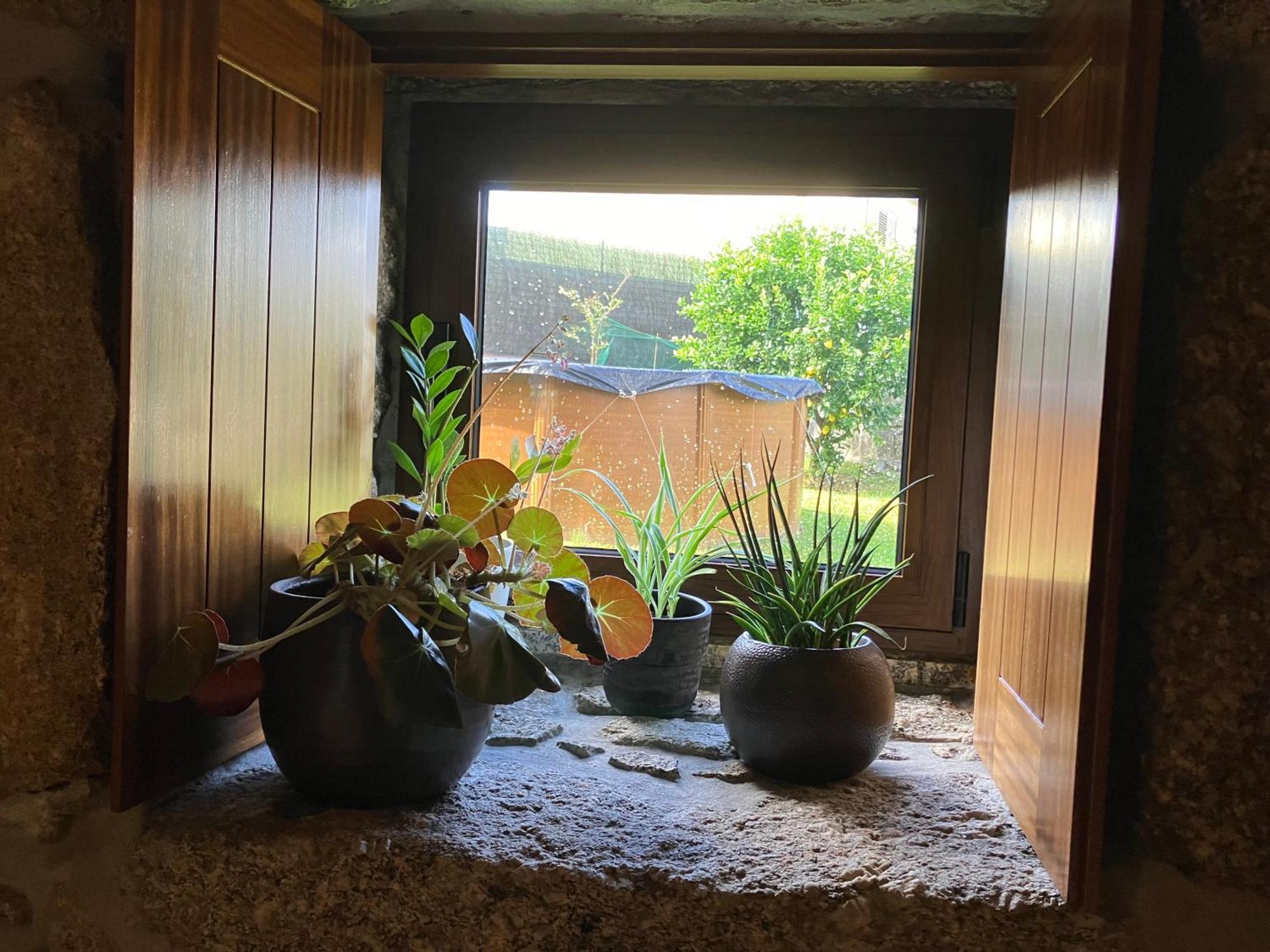 Bergui Guesthouse - Em Guimaraes Desde 2017 Exteriér fotografie